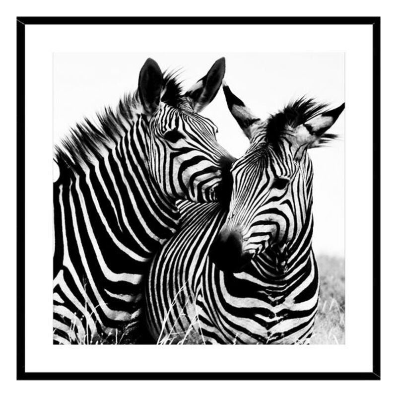 Bild eines Zebras mit Kristallen