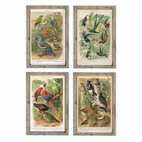 Gemälde von Vögeln im Cottage-Stil (4 Stücke)