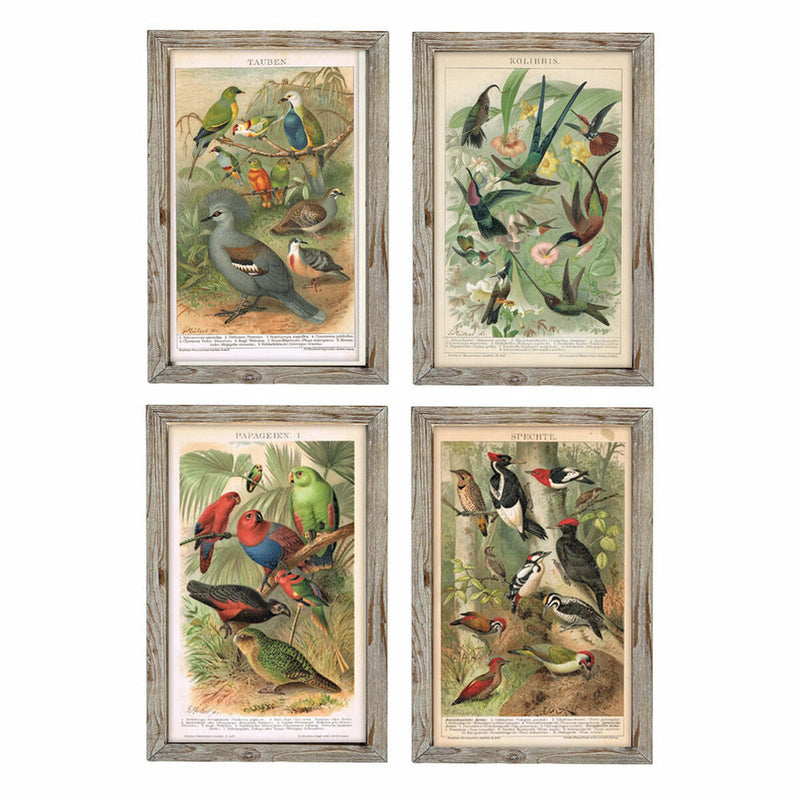 Gemälde von Vögeln im Cottage-Stil (4 Stücke)